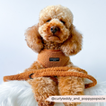 Load image into Gallery viewer, Puppy leash with durable swivel clip attached to collar
