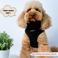 Load image into Gallery viewer, Black Teddy Baloo dog harness
