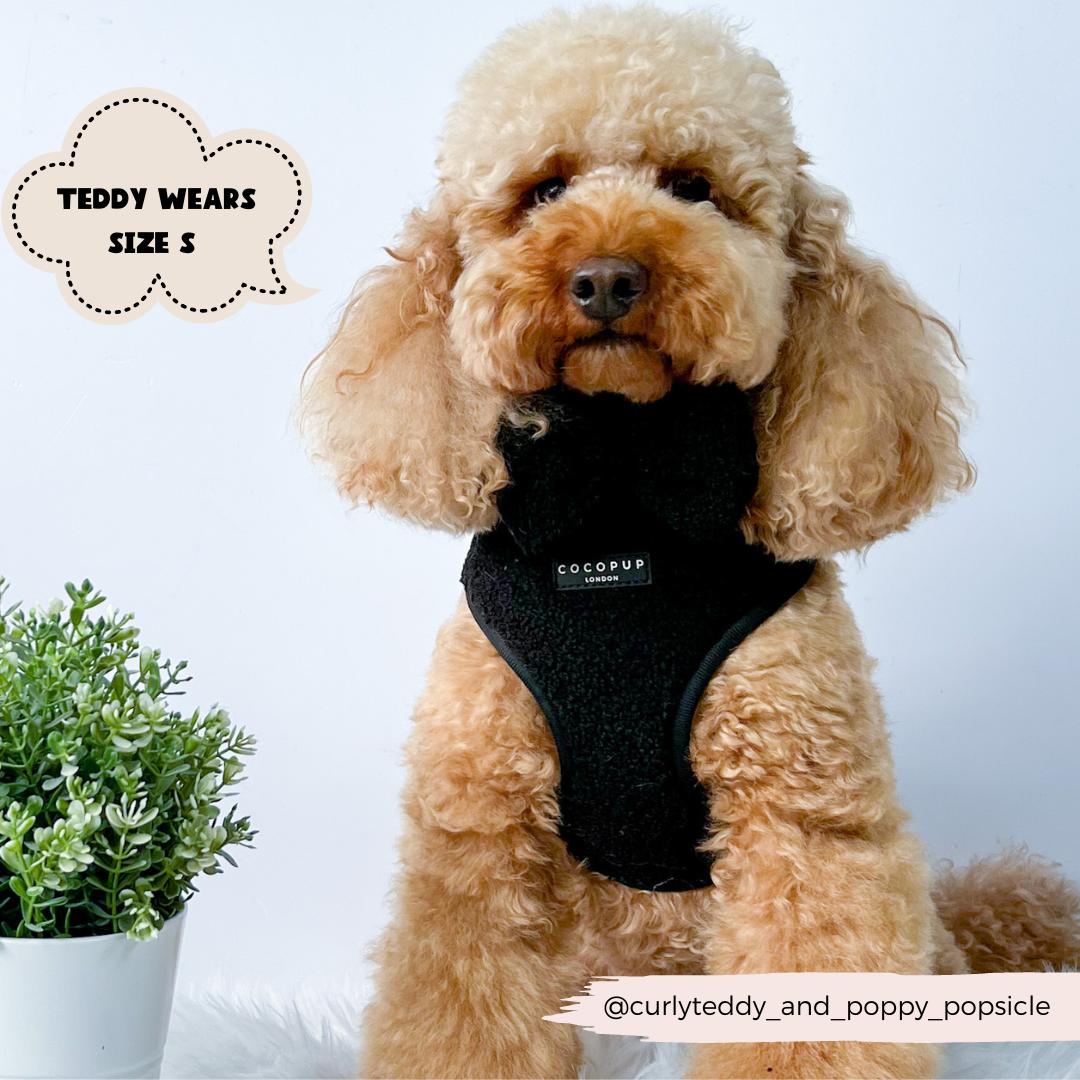 Black Teddy Baloo dog harness