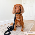Load image into Gallery viewer, Close-up of Teddy Baloo dog lead's comfortable padded handle
