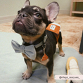 Load image into Gallery viewer, Must-have Dog Bow Tie for the fashionable pup
