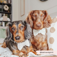 Load image into Gallery viewer, Dog Bow Tie: Sage Tweed for Stylish Pets
