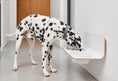 Load image into Gallery viewer, Arco Dog Feeder - Dog Lovers
