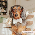 Load image into Gallery viewer, Brown Dog Bow Tie with soft herringbone pattern
