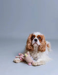 Load image into Gallery viewer, Organic cotton yarn dog toy for sensory play
