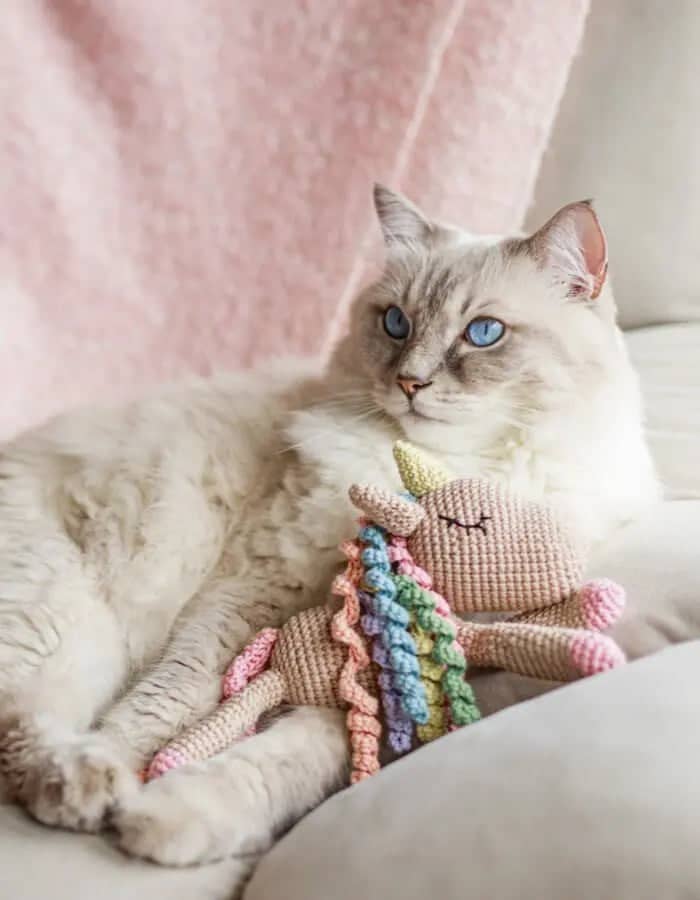 Durable and soft crochet toy for pet development