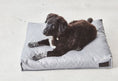 Load image into Gallery viewer, Divo Dog Cushion DogLovers Singapore
