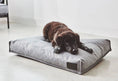 Load image into Gallery viewer, Divo Dog Cushion DogLovers Singapore
