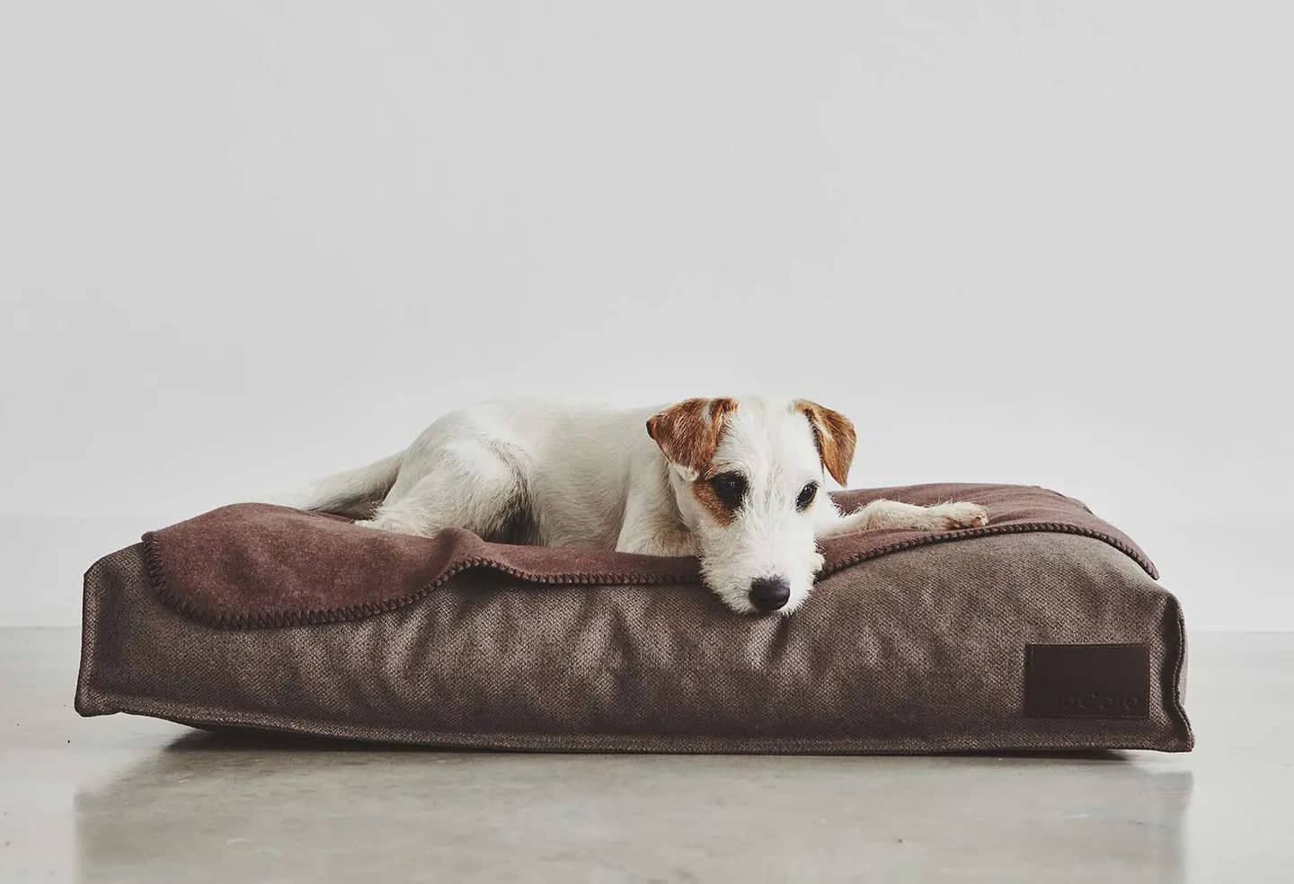 Divo Dog Cushion DogLovers Singapore