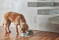 Load image into Gallery viewer, Doppio Dog Bowl Set - Dog Lovers
