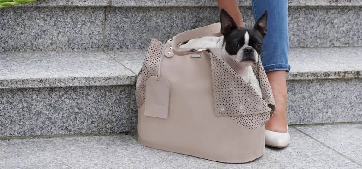 Luxurious ELVA Dog Carrier with Matching Leash and Bag Dispenser
