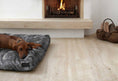 Load image into Gallery viewer, Felpa Dog Cushion MiaCara
