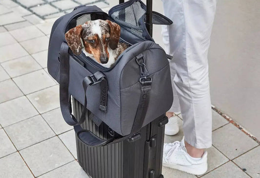 Eco-friendly airline dog carrier made from recycled materials