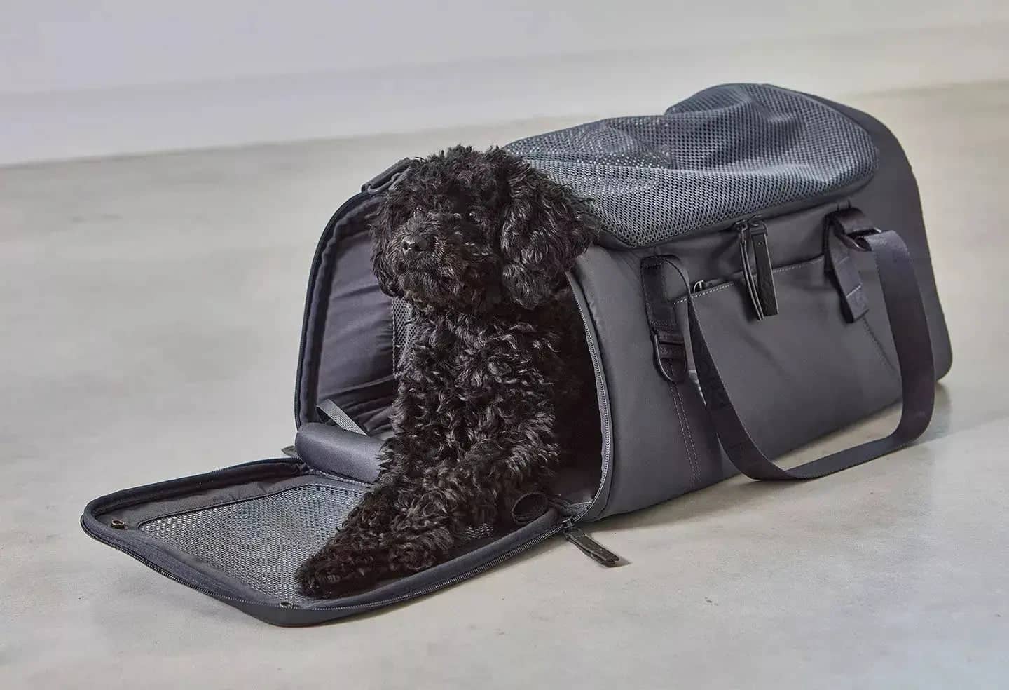 Comfortable and secure dog travel carrier with mesh ventilation