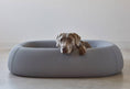Load image into Gallery viewer, Indoor Dog Beds - Dog Lovers
