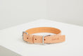 Load image into Gallery viewer, Handmade Italian leather collar for pets in Anodized Silver and Nude Tan
