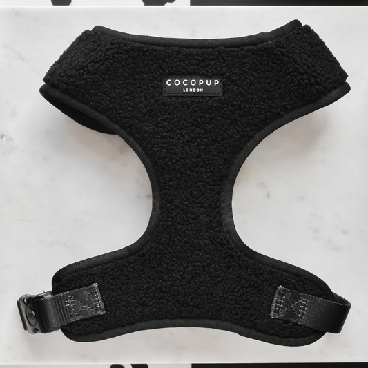 Black Teddy Harness in Adjustable Sizes for Dogs