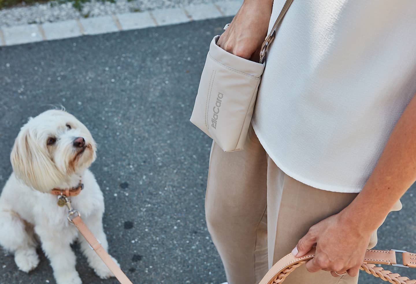 Adjustable strap dog training treat bag for easy wear