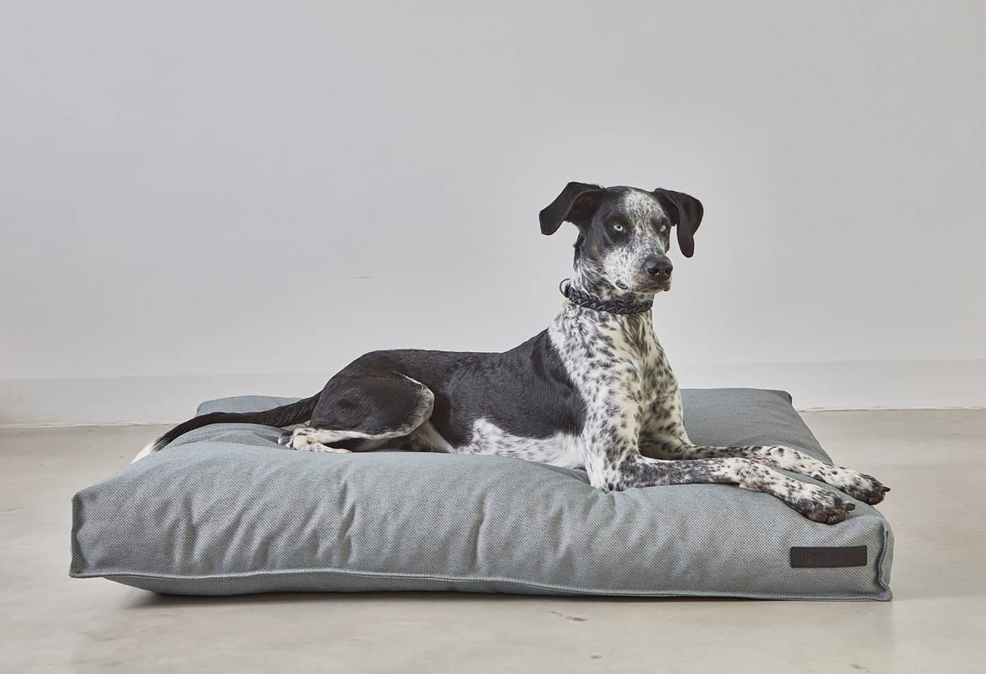 Mare Dog Cushion dog bed 3