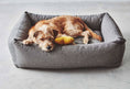 Load image into Gallery viewer, Stella Box Dog Bed  Dog Lovers
