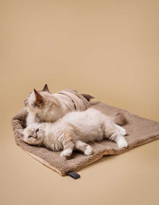 Soft cozy pet blanket in plush beige fabric