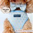 Load image into Gallery viewer, Stylish and Comfortable Dog Bow Tie for all occasions
