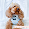 Load image into Gallery viewer, Regal Blue Glitter Luxe Dog Bow Tie with Embroidery
