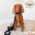 Load image into Gallery viewer, aSoft fluffy material Teddy Collar for puppies to large dogs

