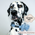 Load image into Gallery viewer, Fluffy polyester Teddy Daydream Bow Tie for any dog collar
