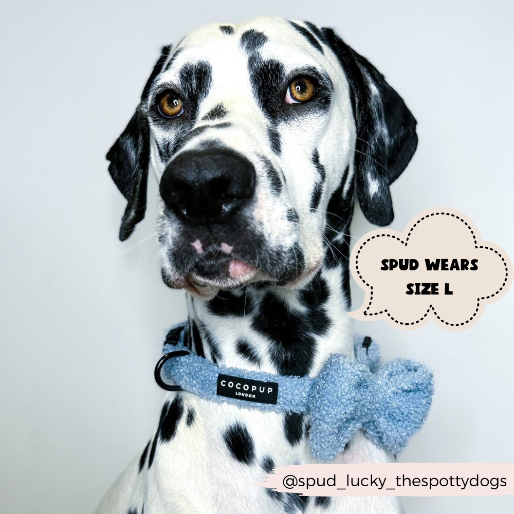 Fluffy polyester Teddy Daydream Bow Tie for any dog collar