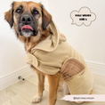 Load image into Gallery viewer, Fashion-forward bath robe keeping dogs dry and comfortable
