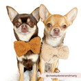 Load image into Gallery viewer, Sophisticated Polyester Teddy Dog Bow Tie for all occasions
