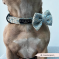 Load image into Gallery viewer, Make your pup the life of the party with our Sparkling Dog Bow Tie
