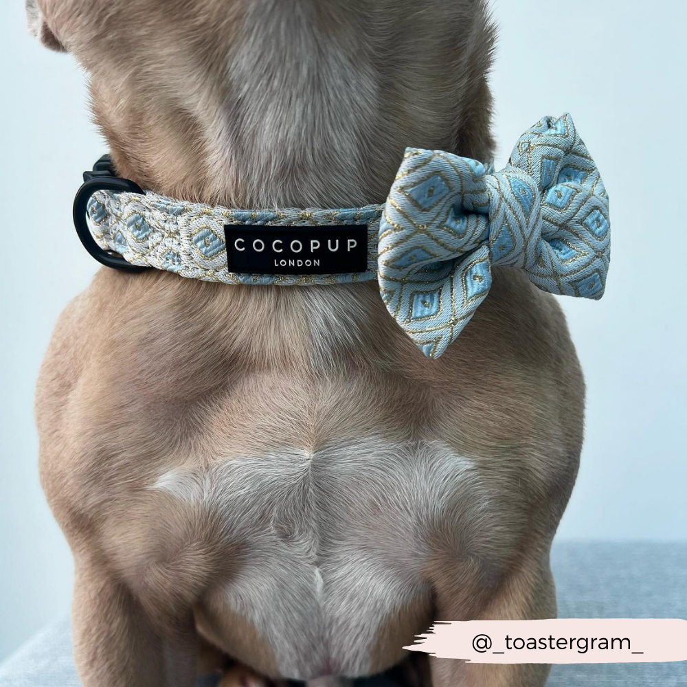Make your pup the life of the party with our Sparkling Dog Bow Tie