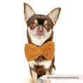Load image into Gallery viewer, Adorable Teddy Dog Bow Tie adding flair to dog wardrobes
