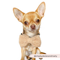 Load image into Gallery viewer, Chic and comfortable Teddy Rupert Dog Bow Tie for pets
