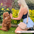 Load image into Gallery viewer, Teddy collection dog walking bag
