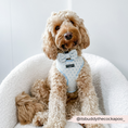 Load image into Gallery viewer, Glamorous Dog Accessory: Blue Luxe Embroidered Glitter Bow Tie
