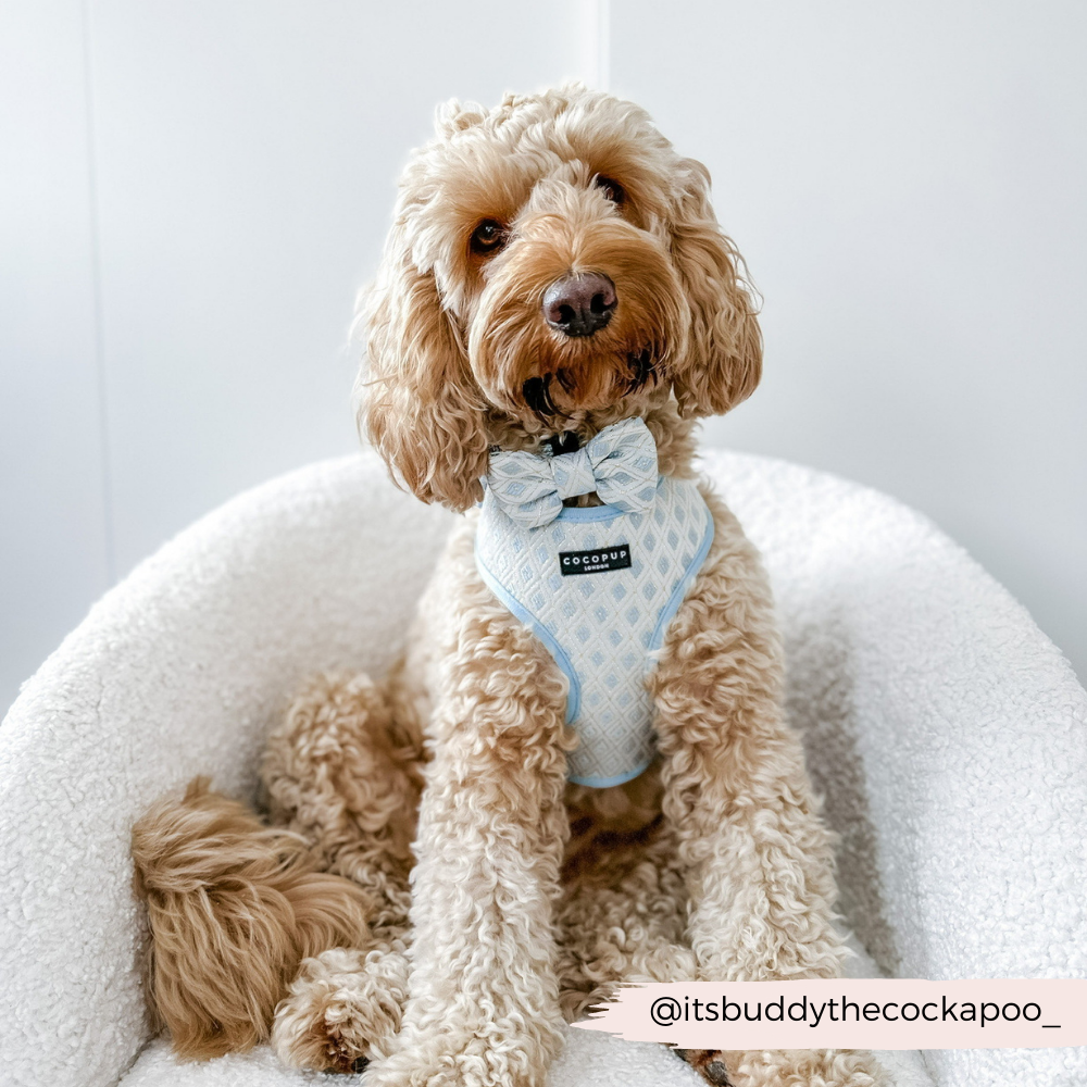 Glamorous Dog Accessory: Blue Luxe Embroidered Glitter Bow Tie