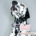 Load image into Gallery viewer, Soft polyester teddy bow tie for ultimate dog comfort
