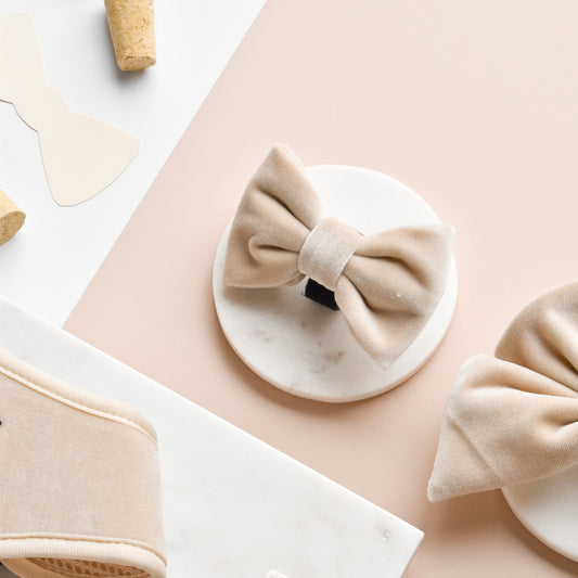 Champagne-colored bow tie for dogs with luxurious velvet material