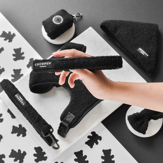 Stylish black Teddy Collar for dogs - Baloo model