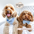 Load image into Gallery viewer, Chic and comfortable Teddy Daydream Dog Bow Tie for pets
