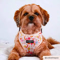 Load image into Gallery viewer, Dog enjoying a walk wearing a CocoPup Dog Harness
