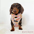 Load image into Gallery viewer, CocoPup Dog Harness in various sizes from XS to L
