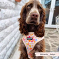 Load image into Gallery viewer, "CocoPup Dog Harness in action, enhancing pet comfort
