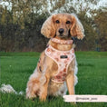 Load image into Gallery viewer, Adjustable CocoPup Dog Harness for a perfect fit

