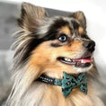 Load image into Gallery viewer, Stylish polyester Dog Bow Tie perfect for parties and outings
