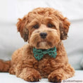 Load image into Gallery viewer, Add flair with the Khaki Leopard Dog Bow Tie by Cocopup
