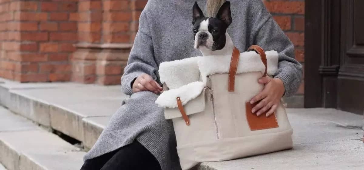 Pet-friendly design of LIIVA dog carrier with fur-lined insert
